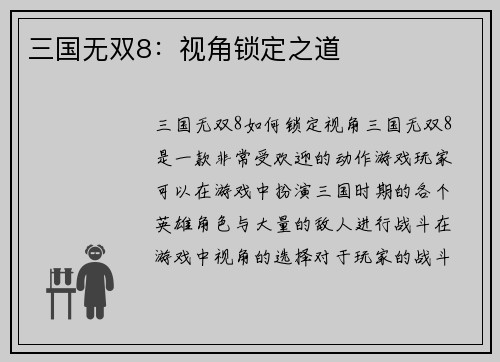 三国无双8：视角锁定之道